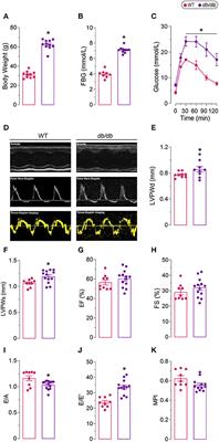 Proteomic Analysis Suggests Altered Mitochondrial Metabolic Profile Associated With Diabetic Cardiomyopathy